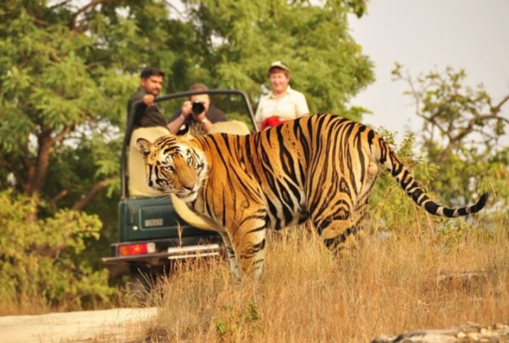 Discover Gujarat: Best Tour Packages from Delhi for Every Traveller
