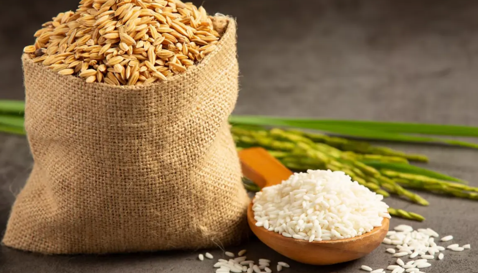 The Rise of 1121 Sella Basmati Rice in Global Food Markets